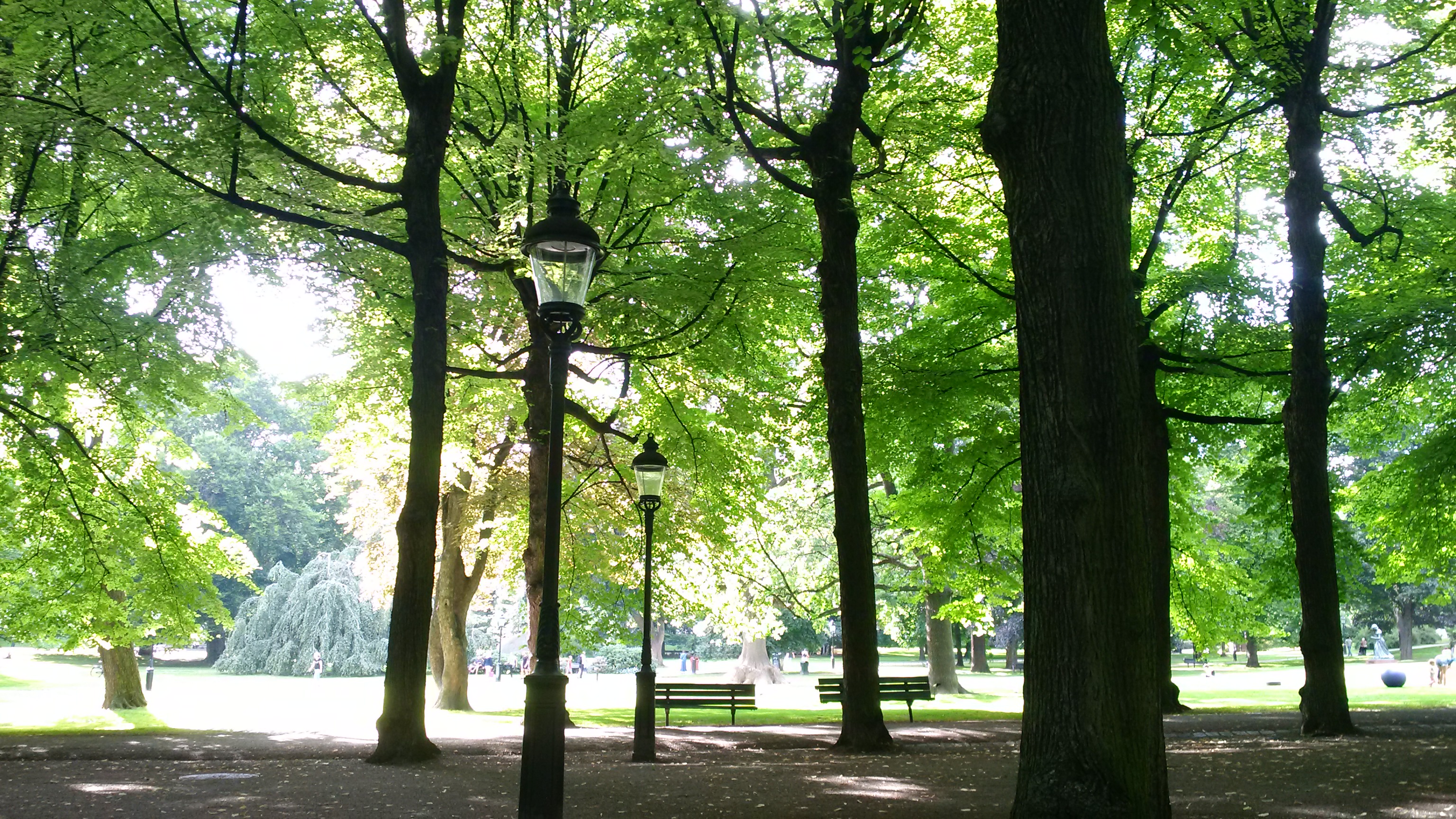 Stockhom, Humlegården, ambient parc